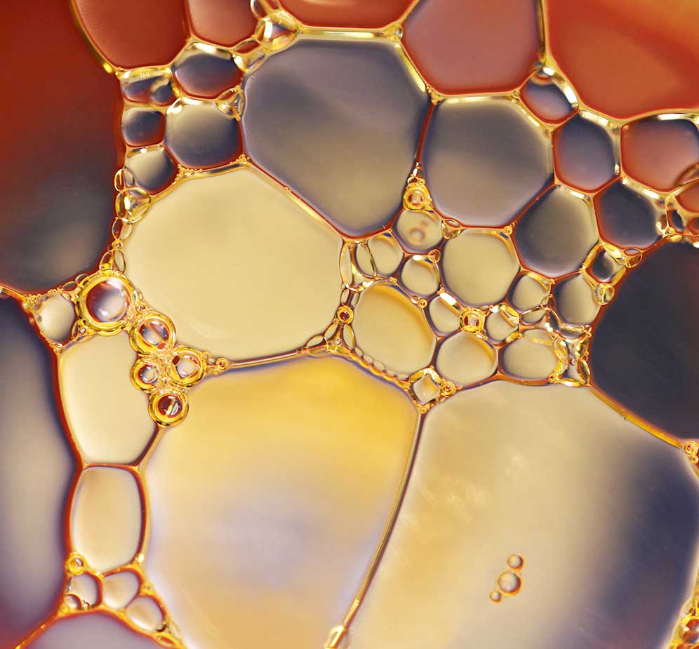 cell